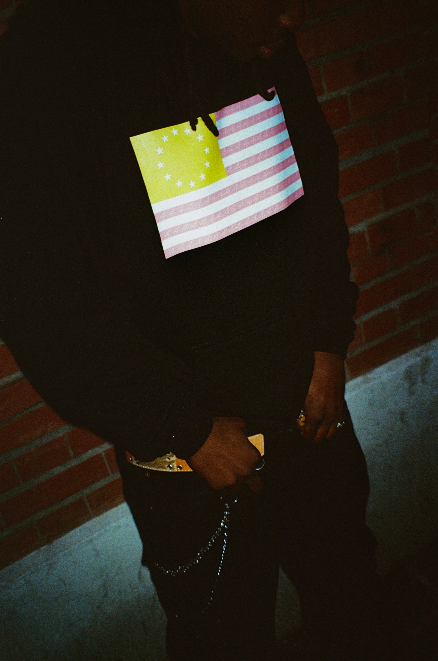 Hoodie "USCS"